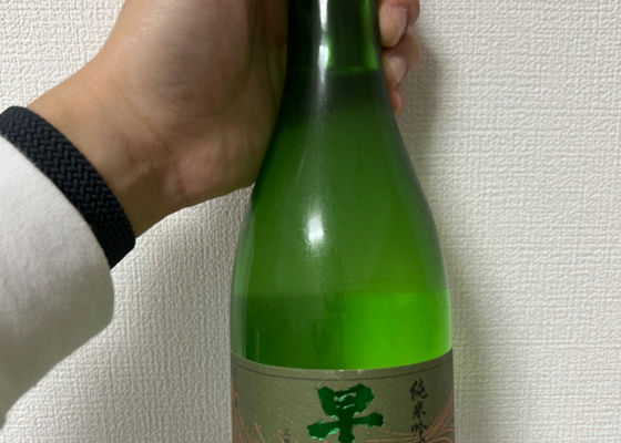 alt 1