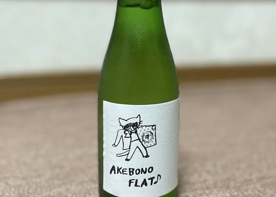 alt 1