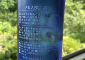 alt 3
