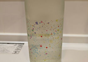 alt 1
