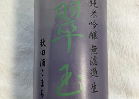 alt 1
