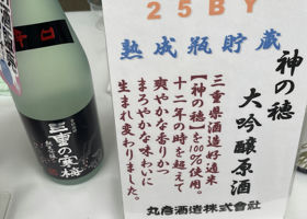 alt 4