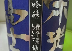 alt 1