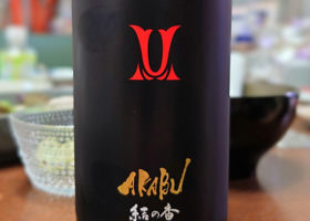 alt 1