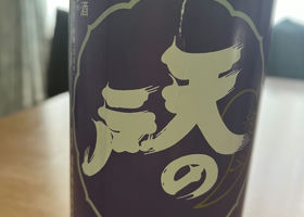 alt 1
