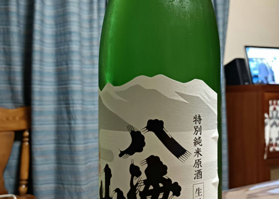 alt 1