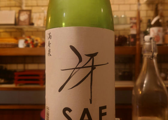 alt 1