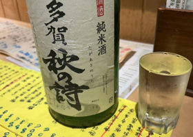 alt 1
