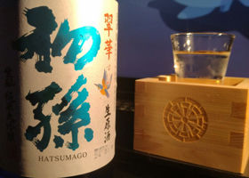 Hatsumago Check-in 1