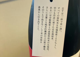 alt 3