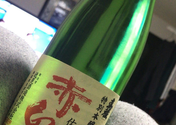 alt 1