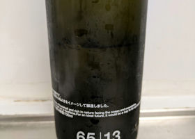 alt 1