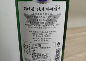 alt 3