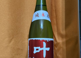 alt 1