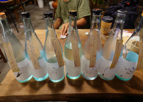 alt 3