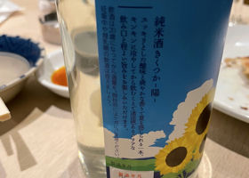 alt 3