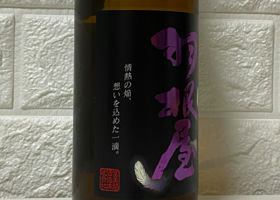 alt 3
