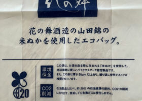 alt 3