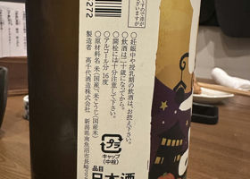 alt 3