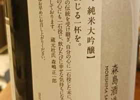 alt 3