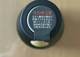 alt 3