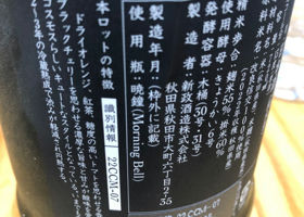 alt 3