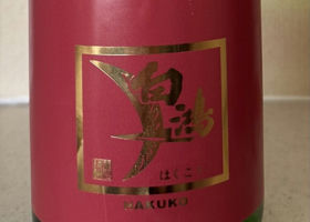 alt 1