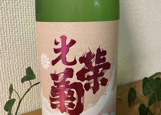 光栄菊