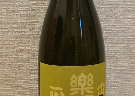 alt 1