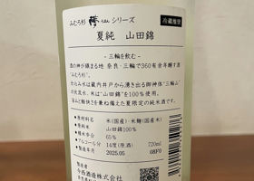 alt 3