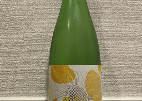 alt 1