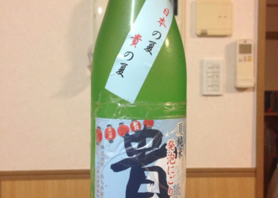 alt 1