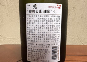 alt 3