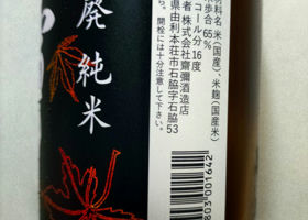 alt 2