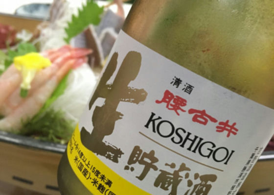 Koshigoi Check-in 1