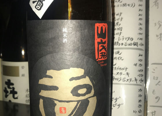 alt 1