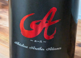 alt 1