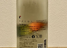 alt 3