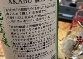 Akabu Check-in 2