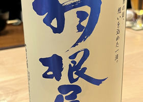 alt 1