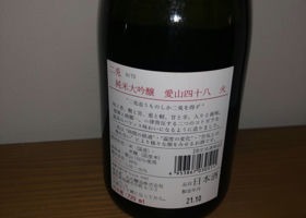 alt 2