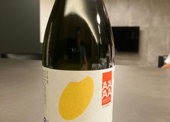 alt 1