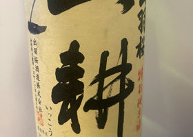 alt 1