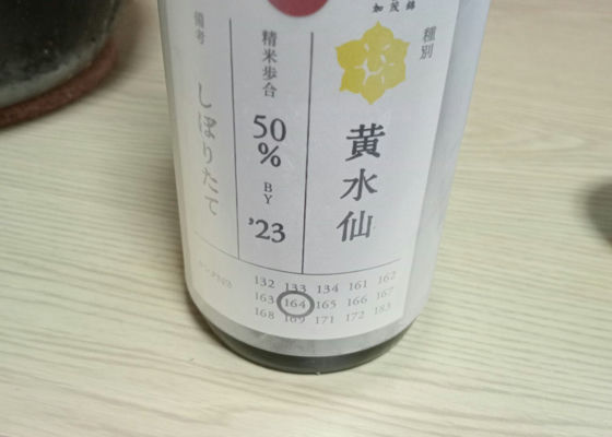 加茂錦 チェックイン 1