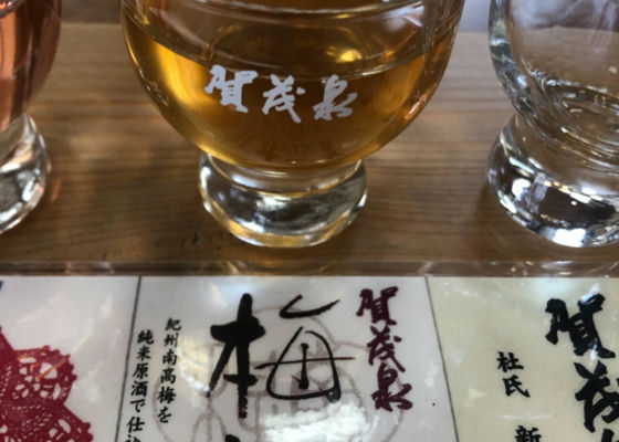 賀茂泉