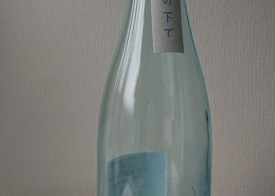 alt 1