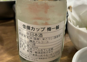 alt 2