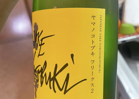 alt 2