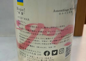 alt 2
