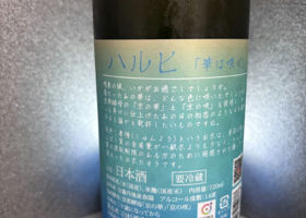 alt 2